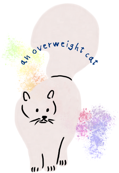 an overweight cat