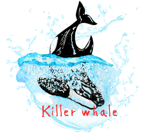 Killer whale
