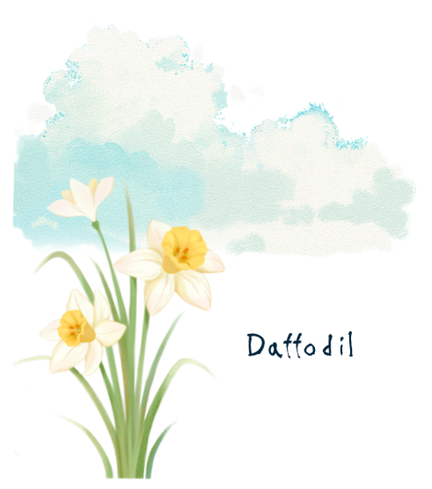 Daffodil