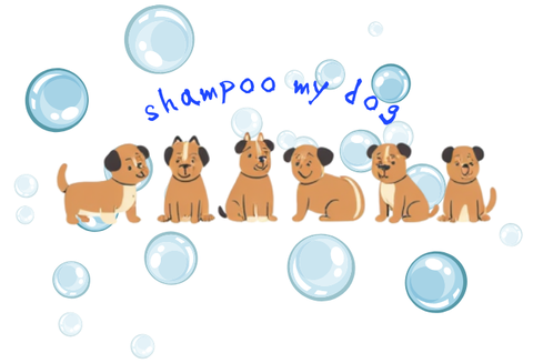shampoo my dog
