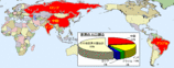 世界地図(BRICs)