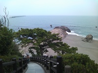 高知