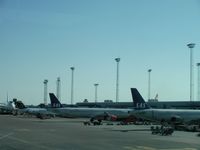 �����󥸥ʥӥ��Ҷ��ε���