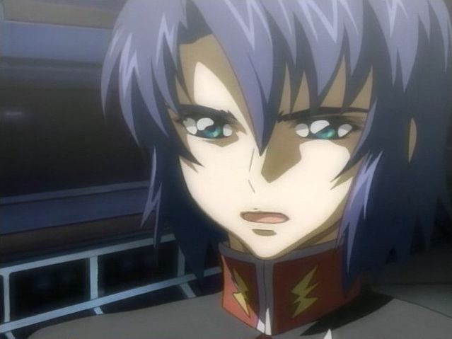 ガンダムSEEDDESTINY第36話「アスラン脱走」 言いたいこと言って