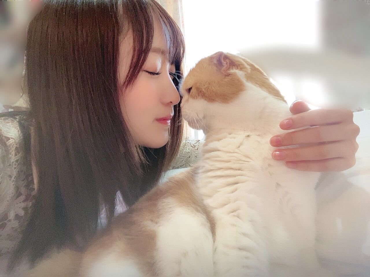 欅坂46 菅井友香様の愛猫トムの新しいお友達がこちら 坂道おまとめ情報局 欅坂46 菅井友香様の愛猫トムの新しいお友達がこちら 坂道おまとめ情報局