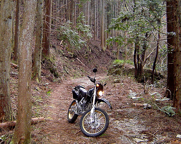 Xr250での林道ツーリング好き Cb1300sb Xr250 Hd8 から Xr50m改