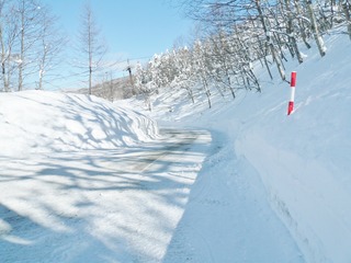 P1060774