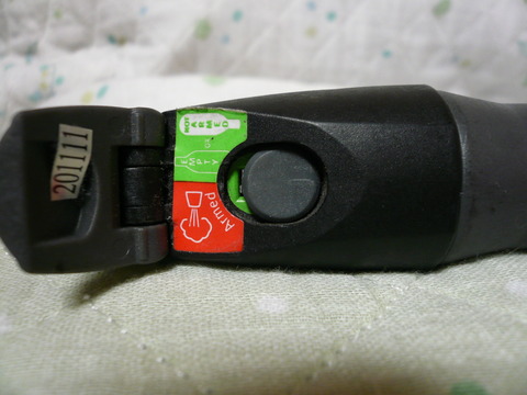 P1050868