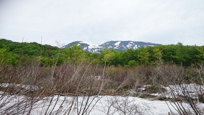 DSC_0079