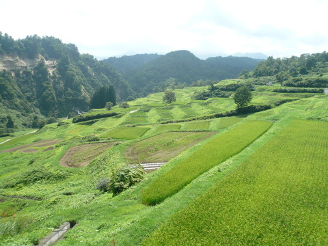 P1050856