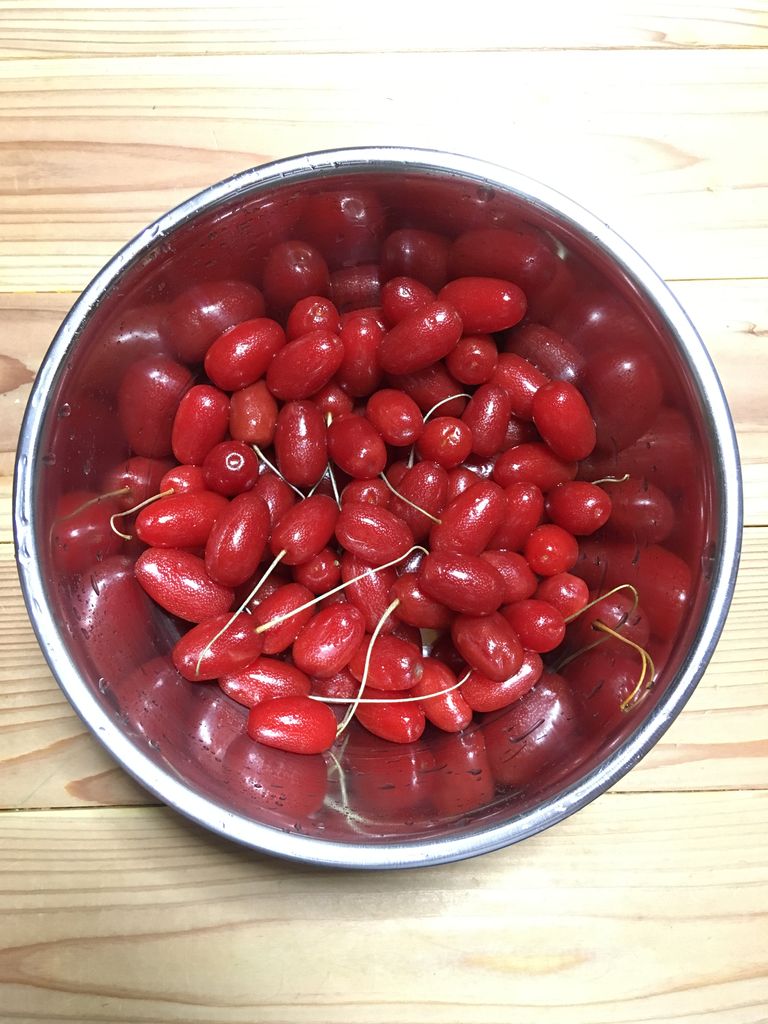 野生の木の実 グミ を食べたよ 海のキレイな田舎に移住して家を Diyでリフォームしたり 子供と大自然で遊んだりしてるよ