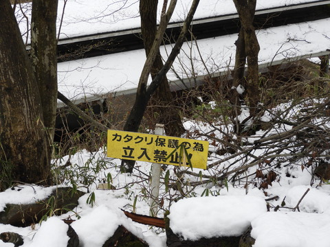 DSCN3711