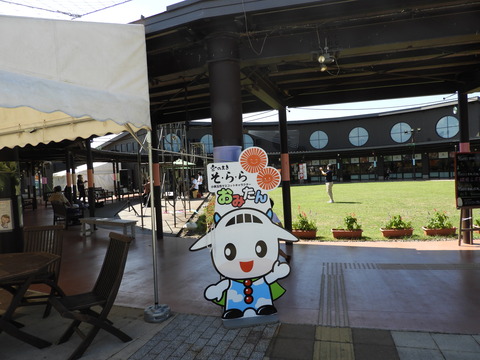 DSCN5711