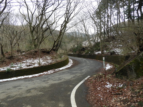 DSCN3694