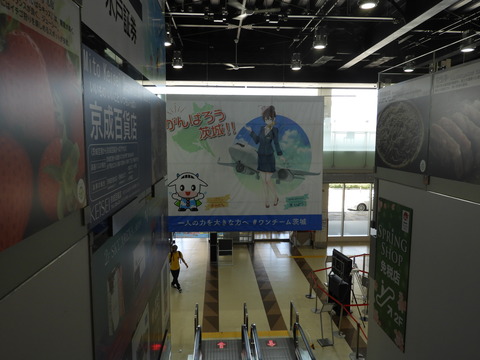 DSCN5706