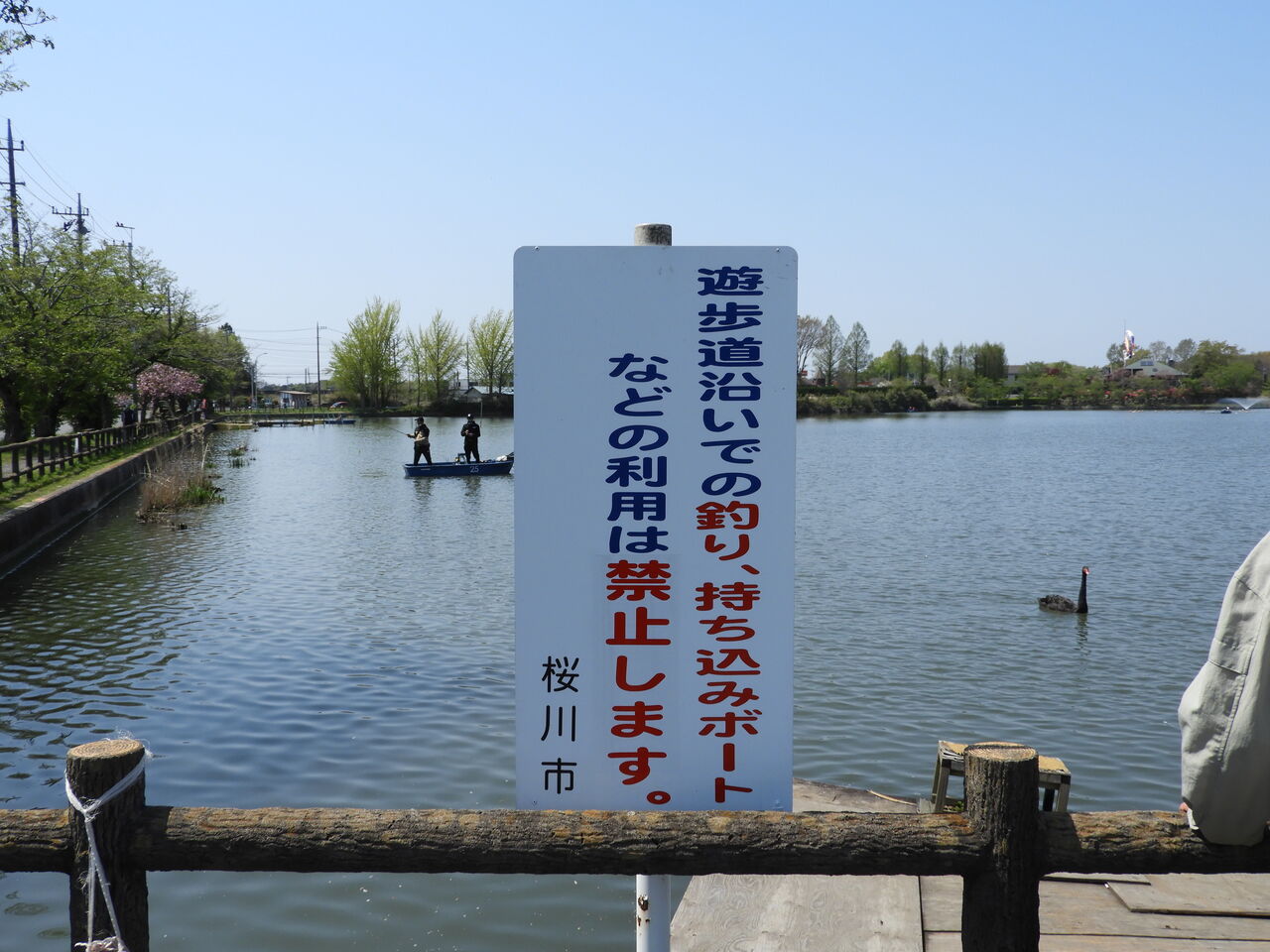 予告 バス釣りの名所上野沼で 禁止された遊歩道で釣る青年の声 Sakuragawa Hunter Blog