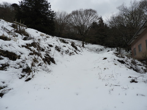 DSCN3717