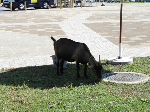 DSCN5710