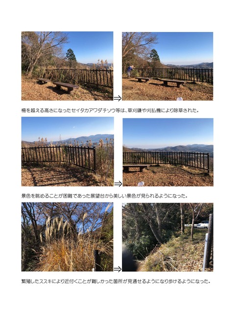 除草作業報告書