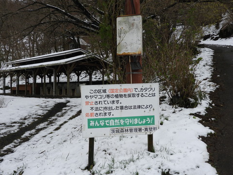 DSCN3702