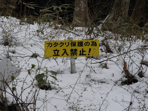 DSCN3716