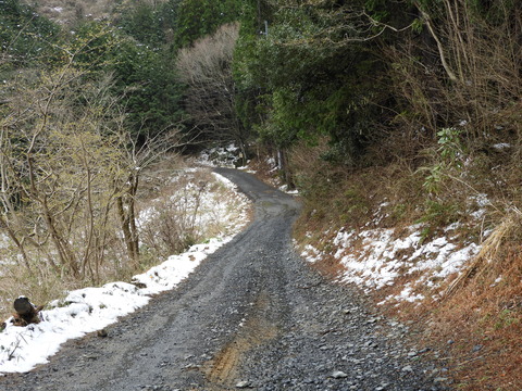 DSCN3698