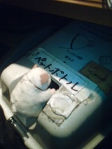 92664332.jpg