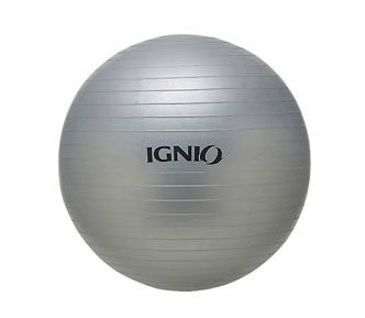 アルペンでバランスボール買ってみました 投資でがっちり儲けるためのブログ