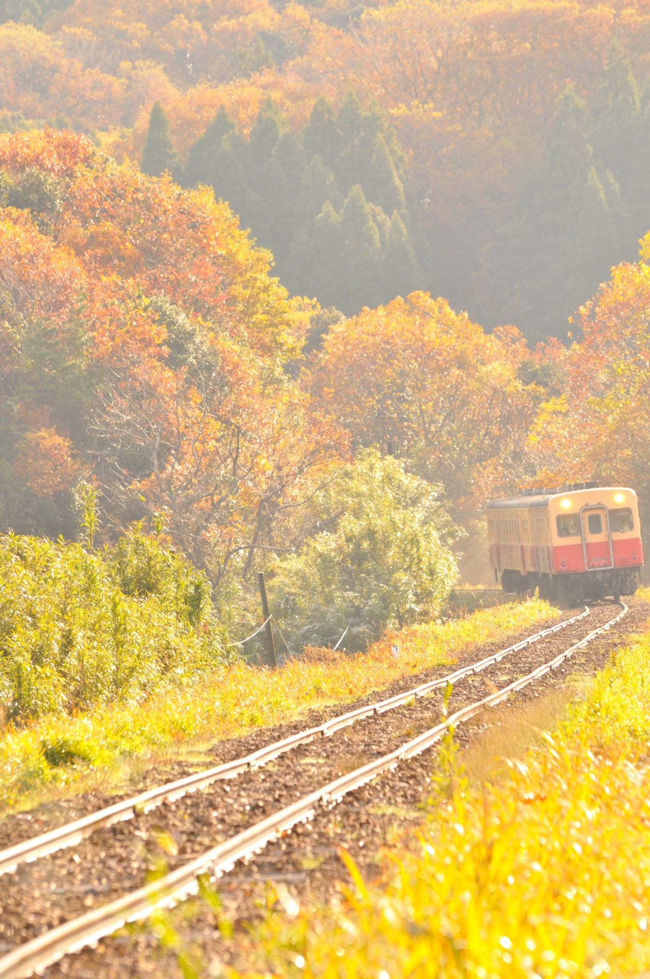 小湊鉄道長南営業所