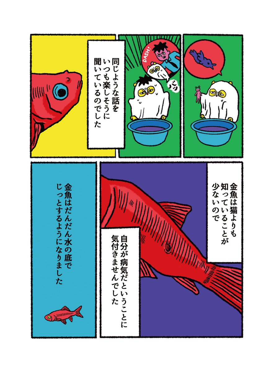手毒猫 金魚のはなし ハラダチ日記 Powered By ライブドアブログ 手毒猫 金魚のはなし ハラダチ日記 Powered By ライブドアブログ