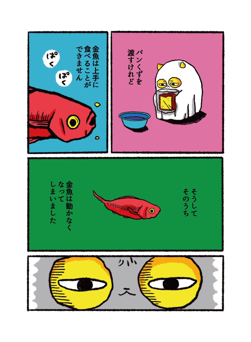 手毒猫 金魚のはなし ハラダチ日記 Powered By ライブドアブログ 手毒猫 金魚のはなし ハラダチ日記 Powered By ライブドアブログ
