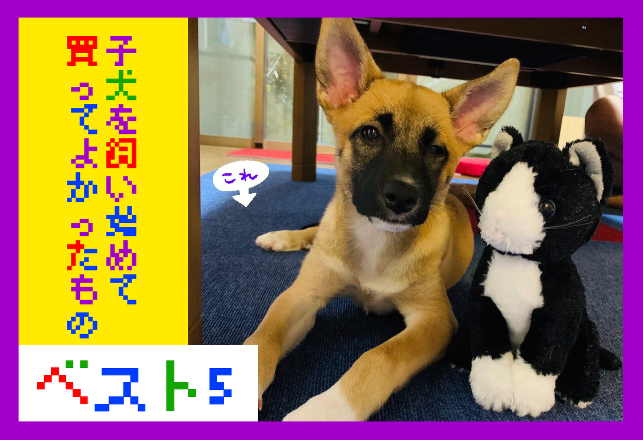 子犬 買っておいてよかったと思うものをシェアハピ ベスト5 ハラダチ日記 Powered By ライブドアブログ