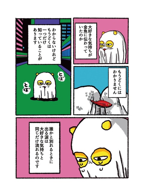 EDS55MTVAAIBdn1