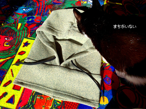 E9780A1F-CBAD-46FF-BBA8-947D903783E2