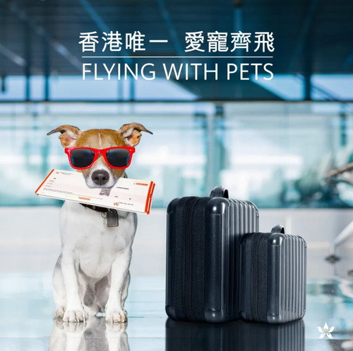 pet