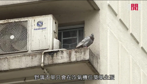 名称未設定-1