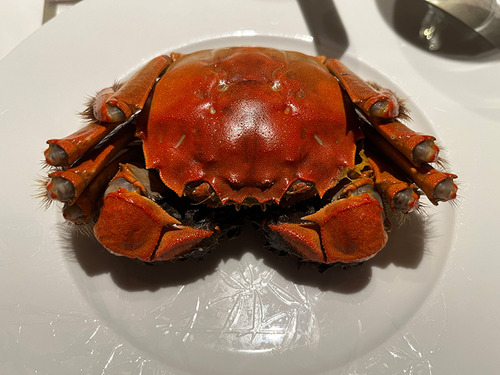 crab6