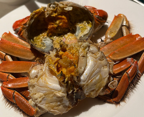 crab8