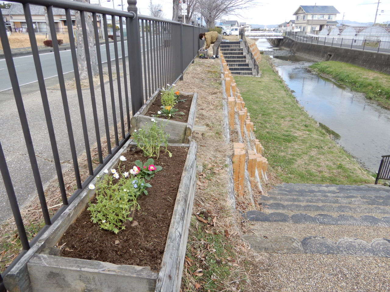 2021˭���������� (15)