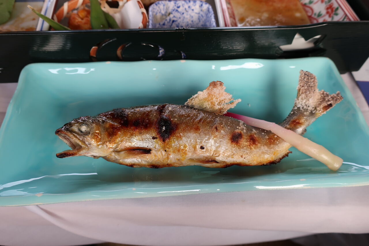 2022����CC����Ĺ���� (64)