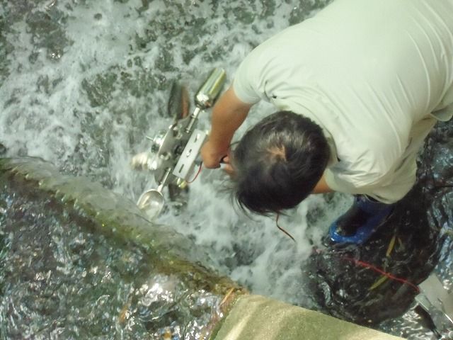 ������ȯ��Ĵ�� (11)