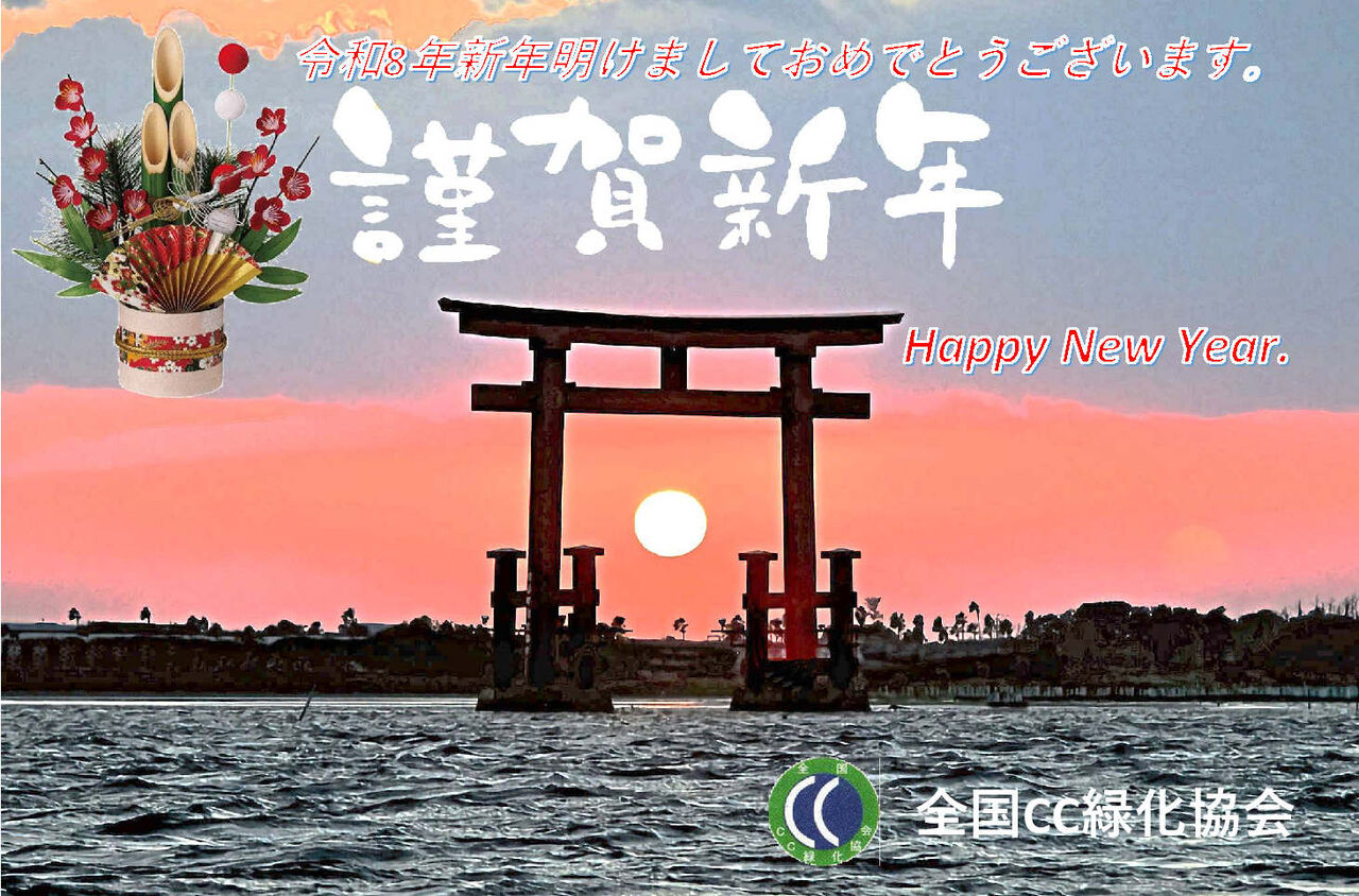 2026��쿷ǯCC