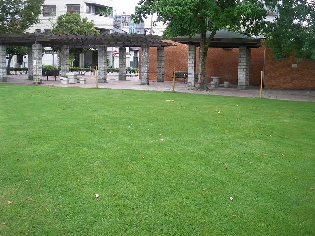 IMGP6947