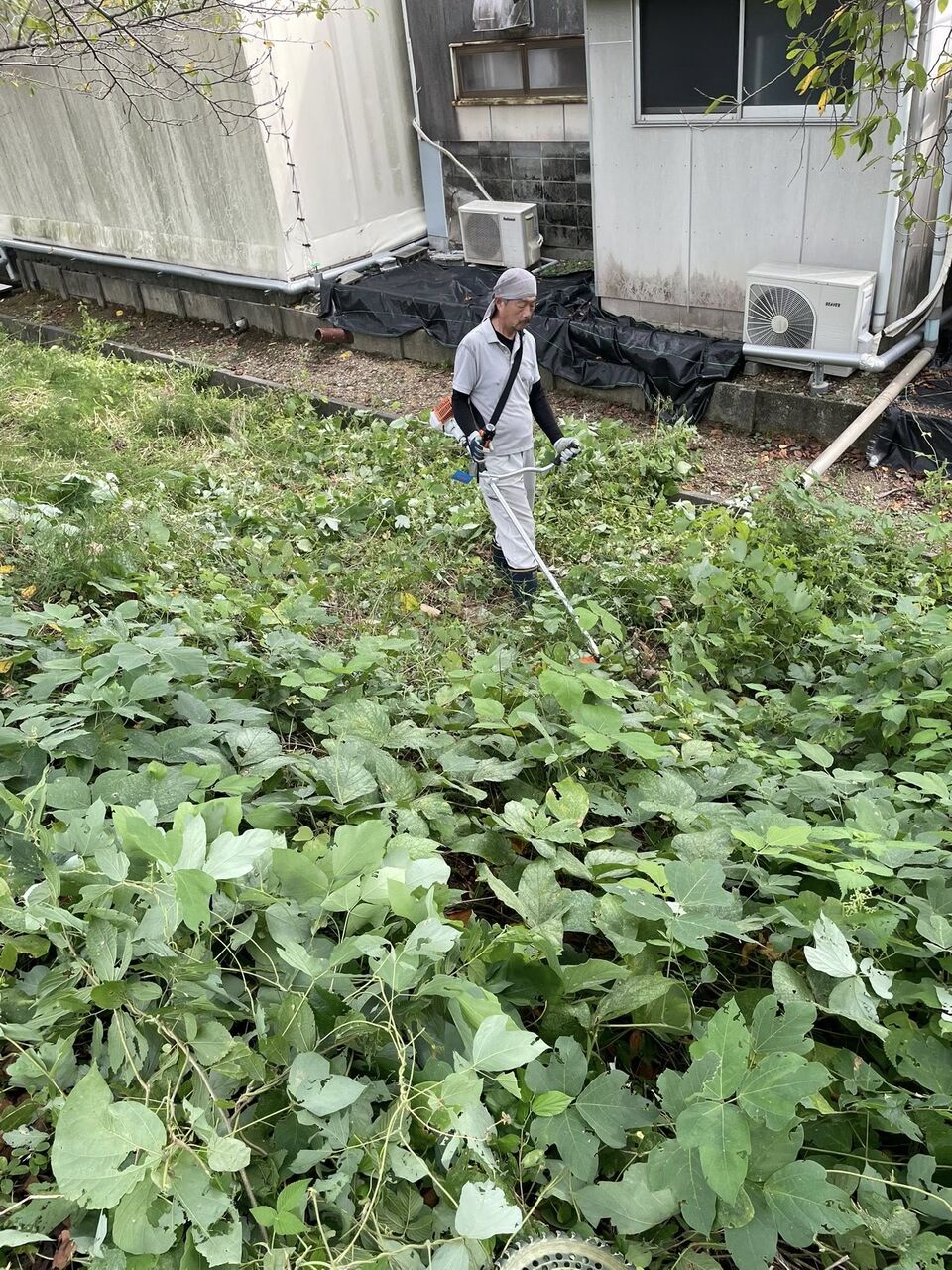 550226635_24544431628554386_1468011010674298274_n