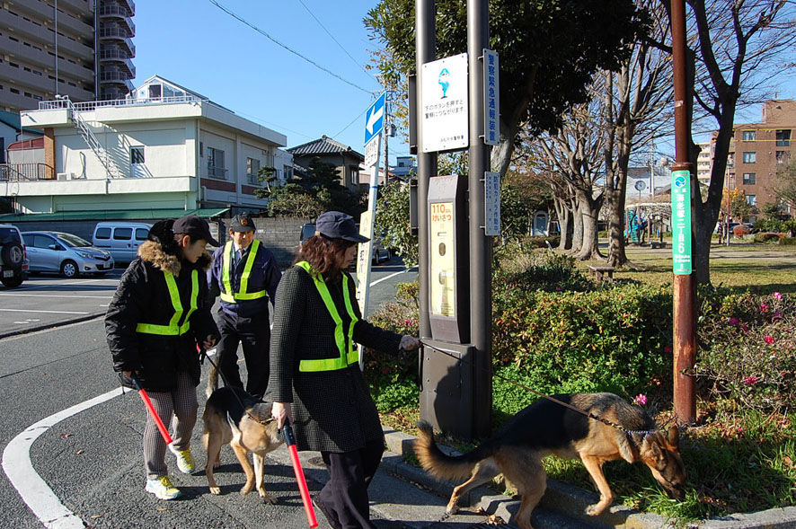 �����ѥȥ����� (7)hp