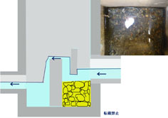 æ���ǹ�ˡhp