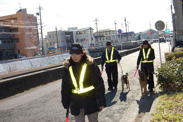 �����ѥȥ����� (19)hp