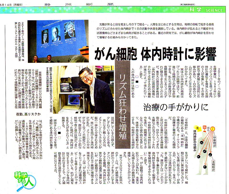 癌細胞体内時計に影響