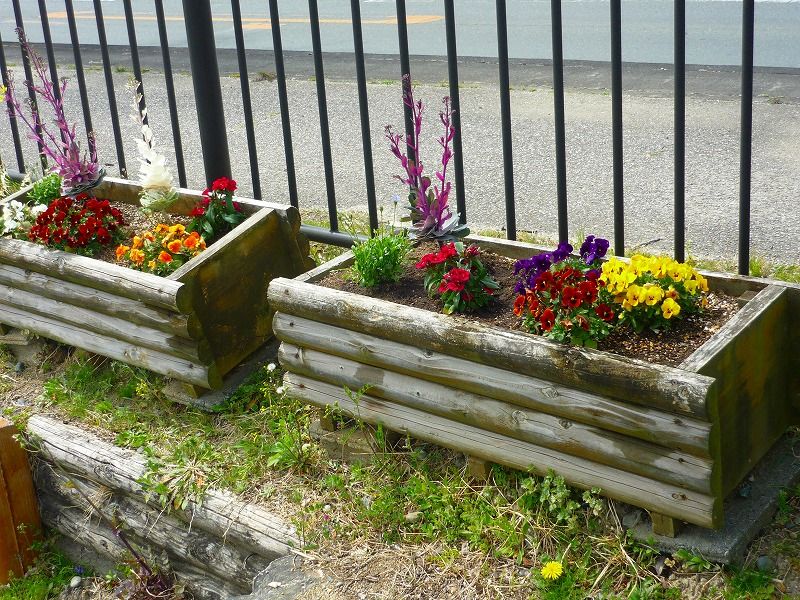 ˭�������� (5)