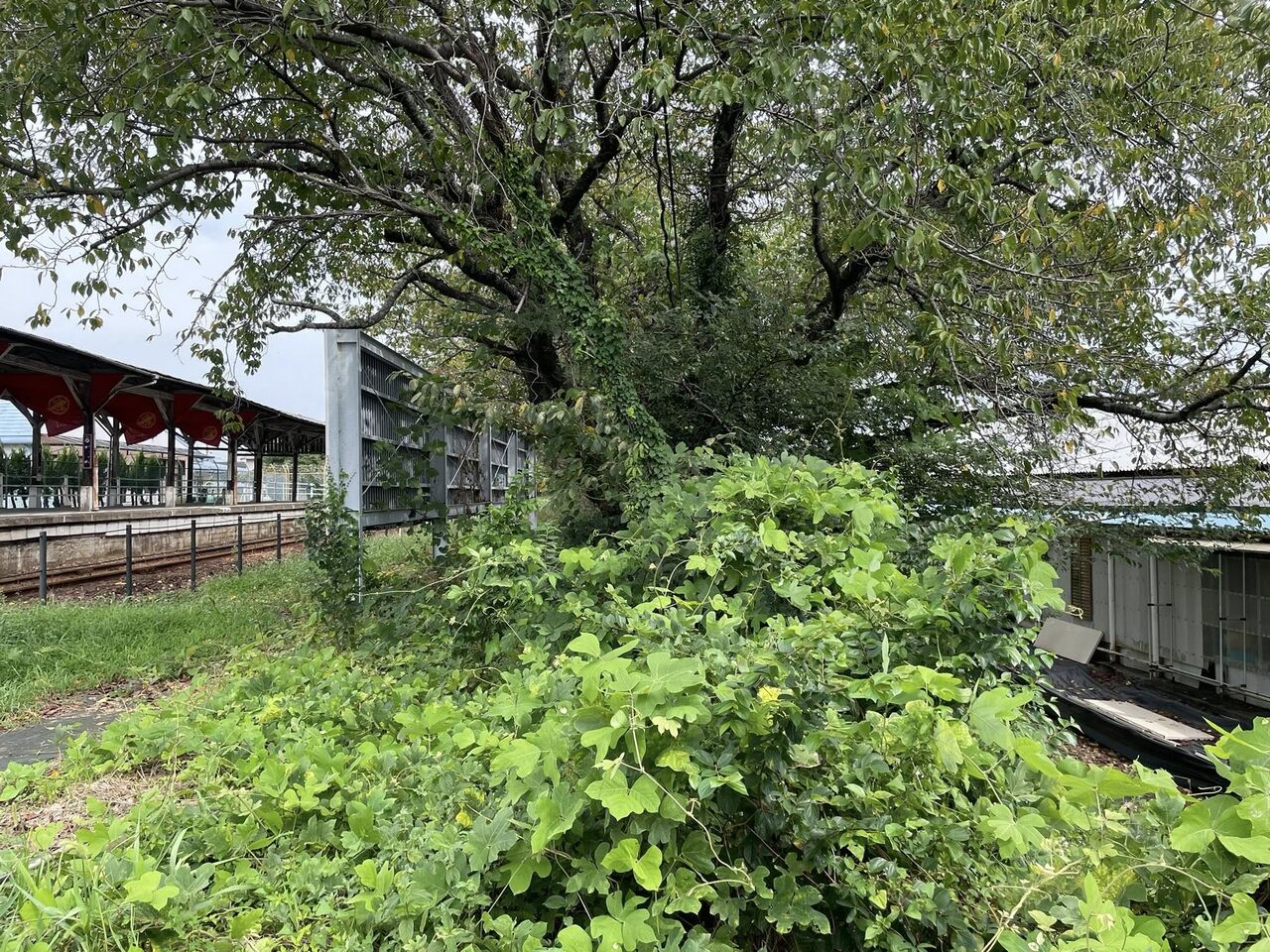 550422899_24544432045221011_2542837161598217814_n